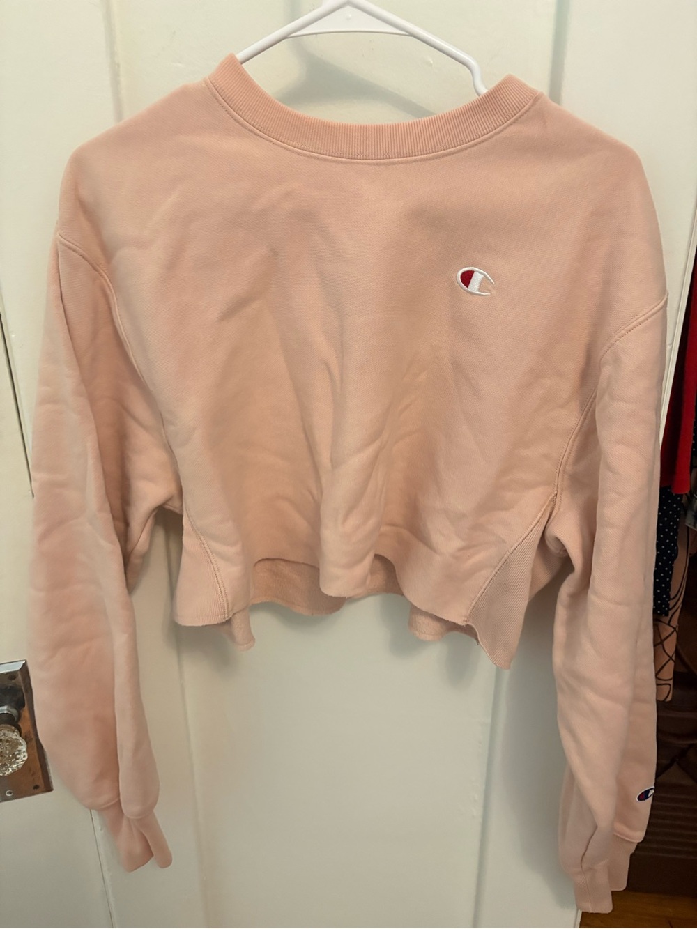 Champion Cropped Crewneck and Jogger   Set in Pale Pink